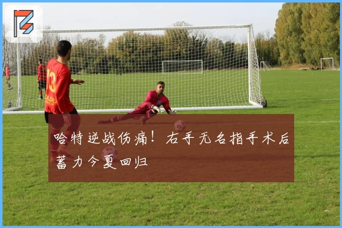 哈特逆战伤痛！右手无名指手术后蓄力今夏回归