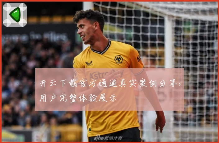 开云下载官方通道真实案例分享，用户完整体验展示