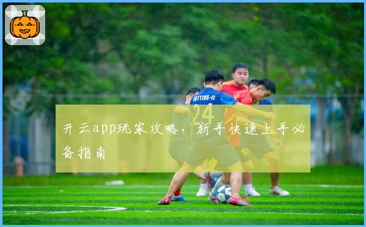 开云app玩家攻略，新手快速上手必备指南