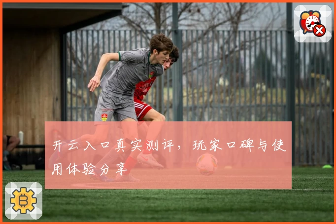 开云入口真实测评，玩家口碑与使用体验分享