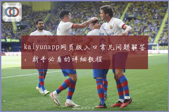 kaiyunapp网页版入口常见问题解答，新手必看的详细教程
